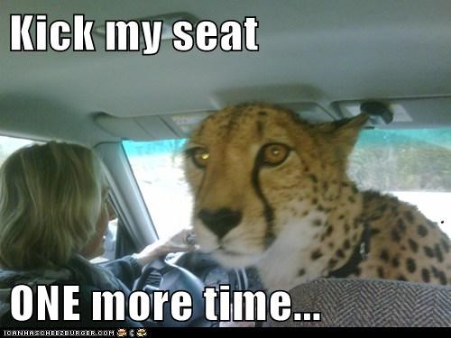 Kick my seat  ONE more time...