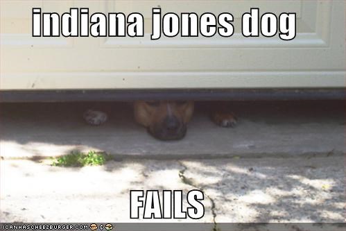 indiana jones dog  FAILS