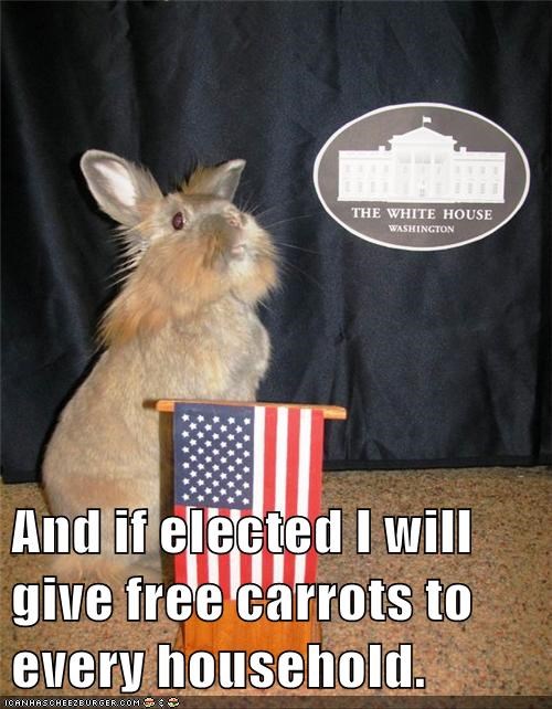 And if elected I will give free carrots to every household.