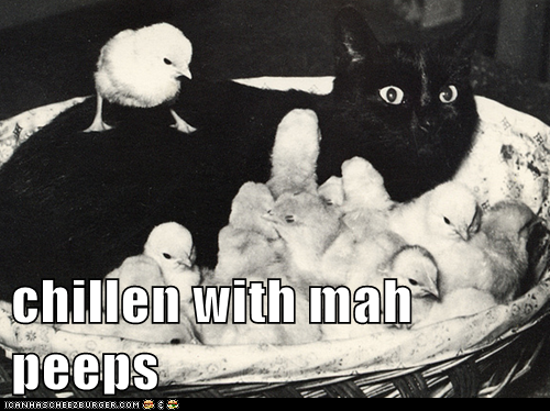 chillen with mah peeps