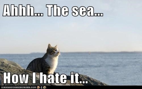 Ahhh... The sea...  How I hate it...