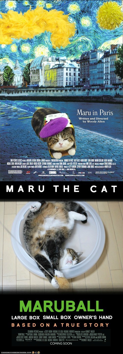 Maru at The Oscars: "Maru in Paris" and "Maruball"