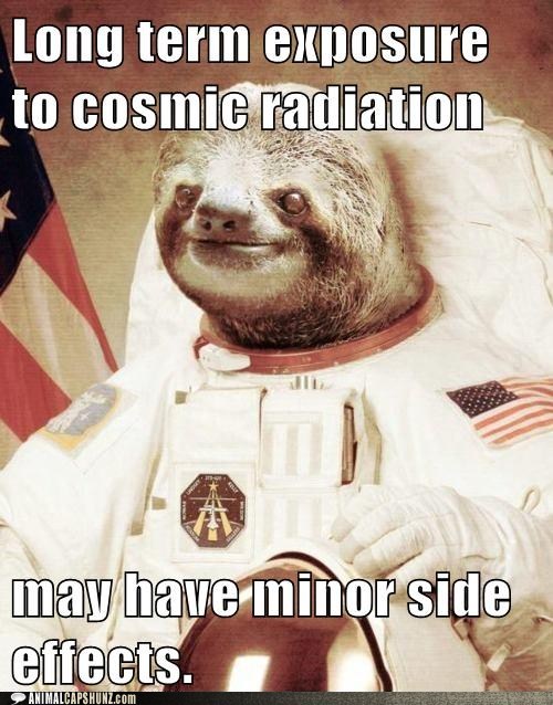 Space Sloth Capshun Contest The Winner!!!