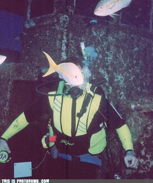 Jack the Kipper