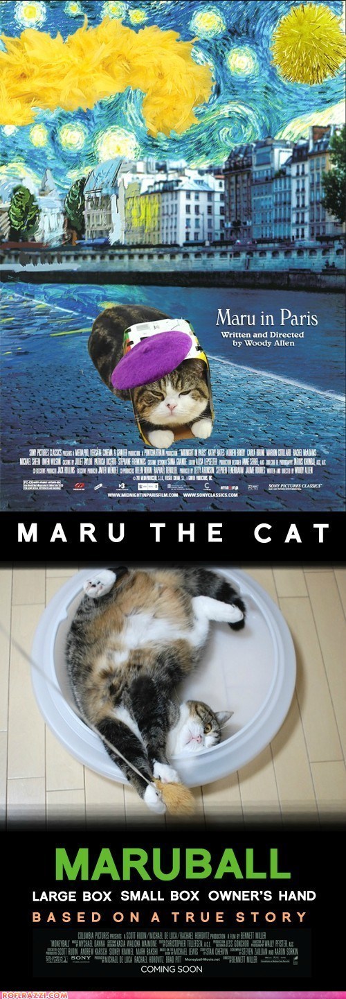 Maru at the Oscars