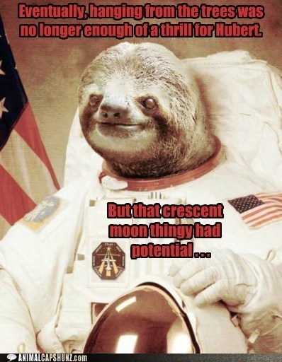 Space Sloth Capshun Contest 2nd Runner Up!