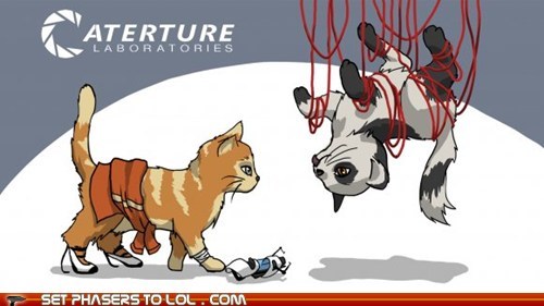 "Portal" Cats