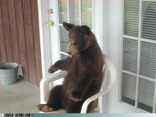 Chairturday: This One is JUST Right!