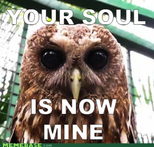 Stare... IF YOU DARE