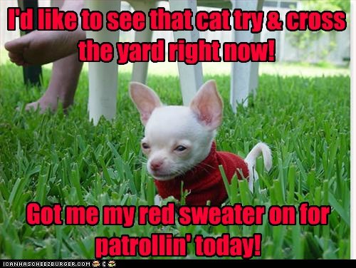 Yard Watch