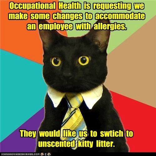Business Cat: And Those With Cat Allergies Are Just Out of Luck