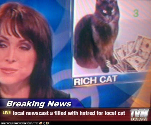 Breaking News - local newscast a filled with hatred for local cat