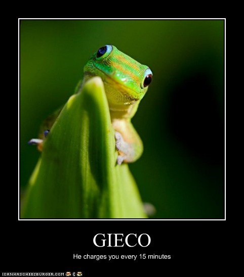 GIECO
