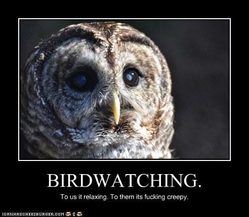 BIRDWATCHING.