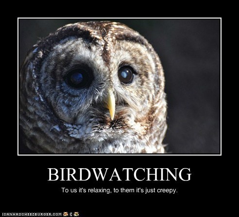 BIRDWATCHING