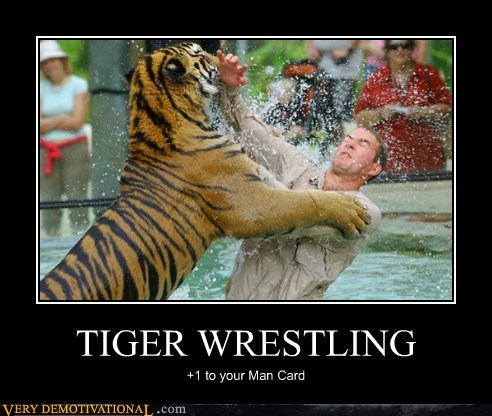TIGER WRESTLING