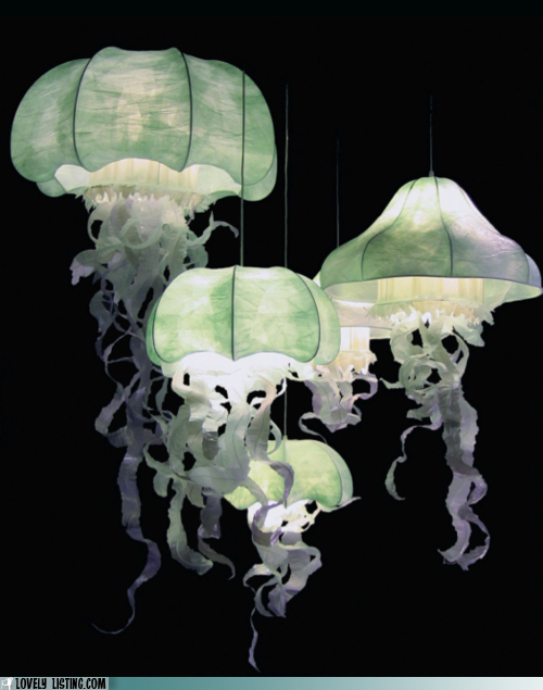 Light My Way, Jellyfish