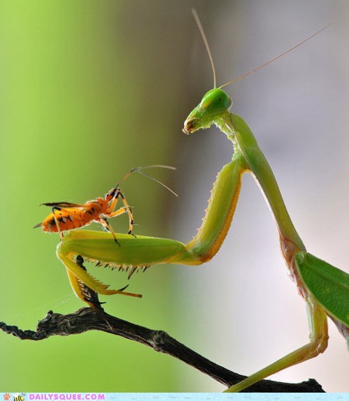 Deep in Conversation