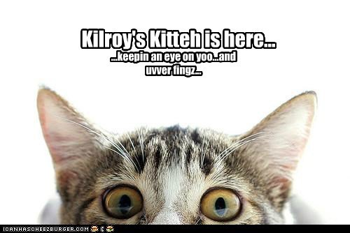 Kilroy's cat as logical successor to his job