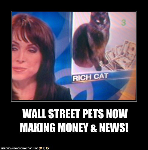 WALL STREET PETS NOW MAKING MONEY & NEWS!