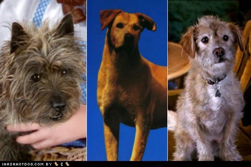 The 10 Best Movie Dogs Ever