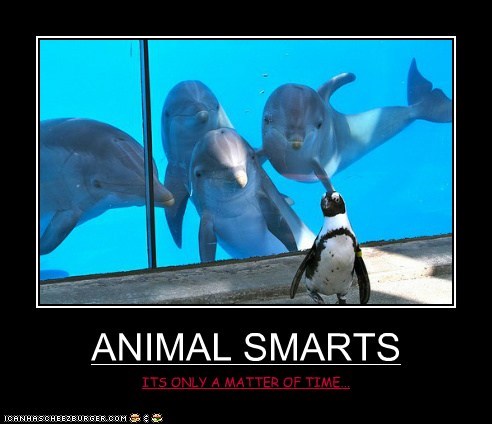 ANIMAL SMARTS