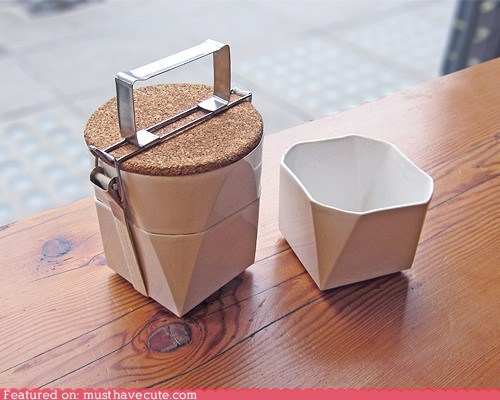 Stylish Lunch Pail