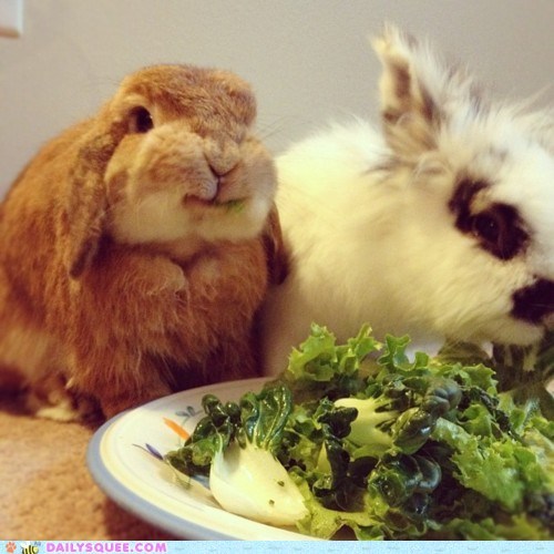 Only the Most Gourmet Greens For Me!