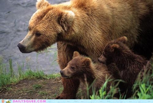 A Family Outing