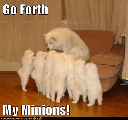 Go Forth