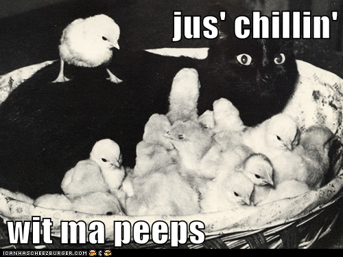 jus' chillin'  wit ma peeps