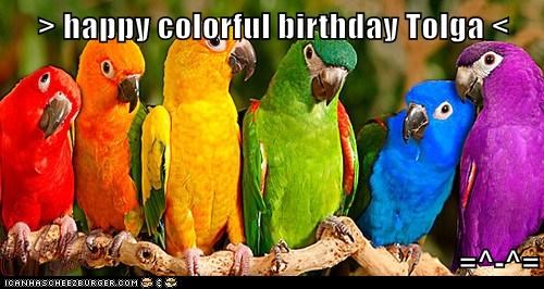 > happy colorful birthday Tolga <  =^-^=