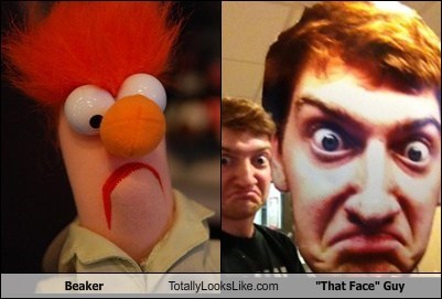 Beaker Totally Looks Like "That Face" Guy