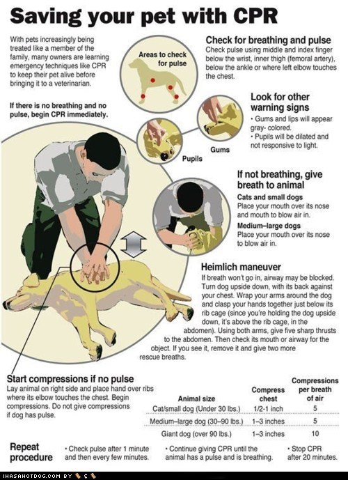 Goggie CPR