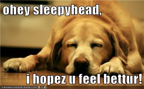 ohey sleepyhead,  i hopez u feel bettur!