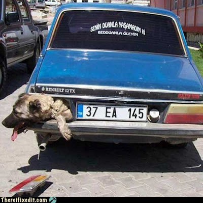 Furry Tail Light
