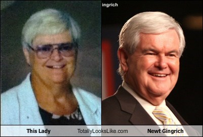 This Lady Totally Looks Like Newt Gingrich