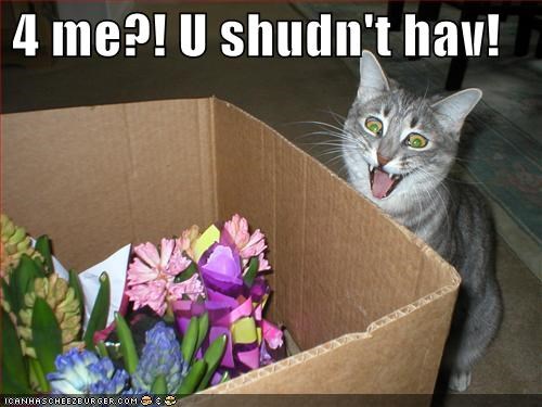 4 me?! U shudn't hav!
