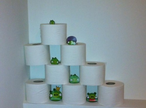 Playing Angry Birds on the Toilet IRL