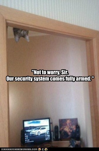 Fully Armed Security System