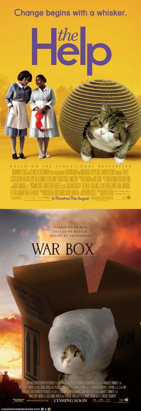 Maru at The Oscars: "The Help" and "War Horse"
