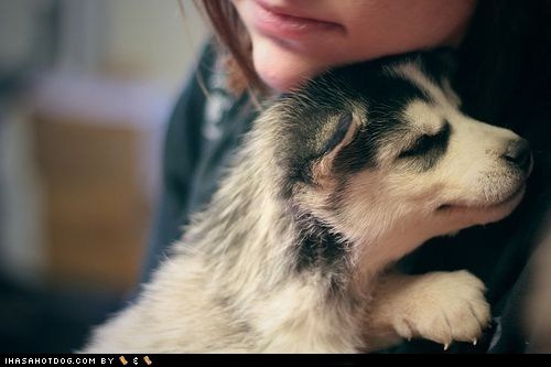 Cyoot Puppeh ob teh Day: U R Myn Nao
