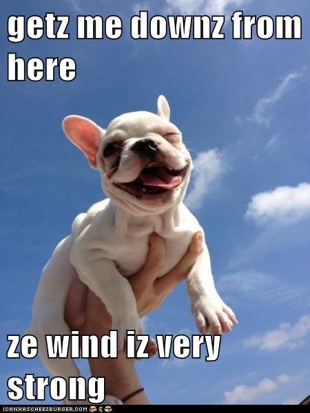 getz me downz from here  ze wind iz very strong