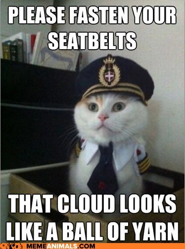 Meme Animals: Captain Kitteh - Have Your Barf Bags at the Ready!
