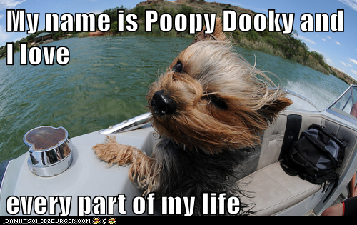 My name is Poopy Dooky and I love  every part of my life