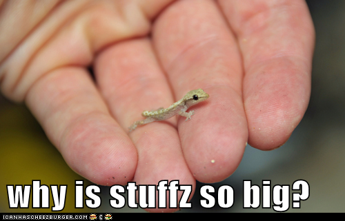 why is stuffz so big?