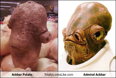 Ackbar Potato Totally Looks Like Admiral Ackbar