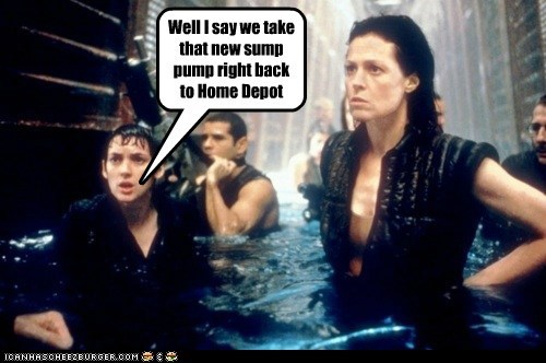 A Little Water in The Basement?