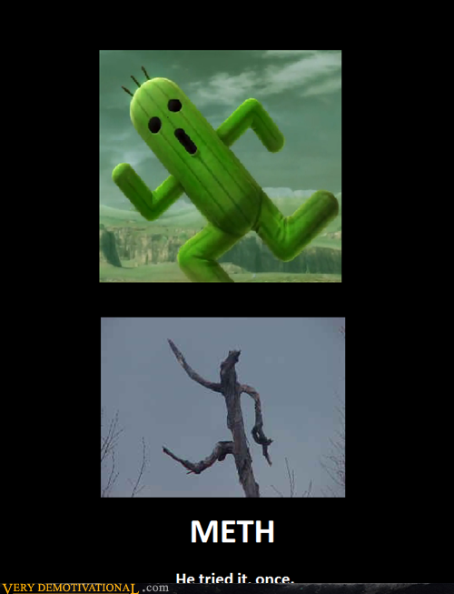 CactuARGH!
