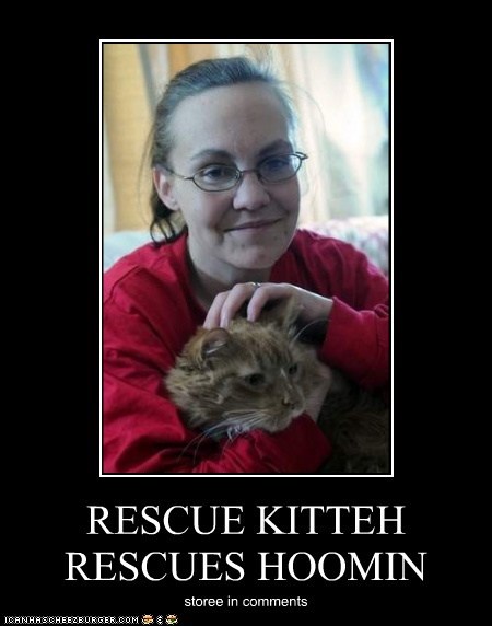 RESCUE KITTEH RESCUES HOOMIN